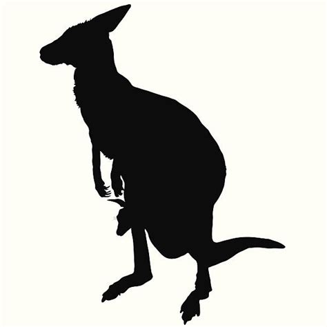 Download Royalty Free Joey Kangaroo Clip Art, Vector Images & Illustrations - iStock