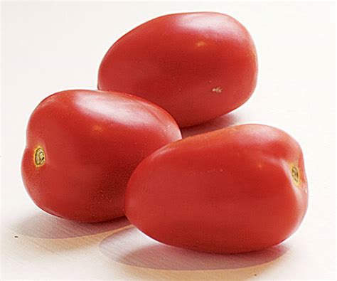 Tomato Hybrid 1kg Freshron