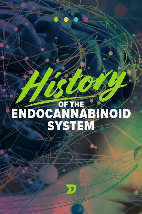 The History Of The Endocannabinoid System History System Fun Facts