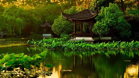 Hd Wallpaper Landscape Japanese Garden Lake Plant Reflection