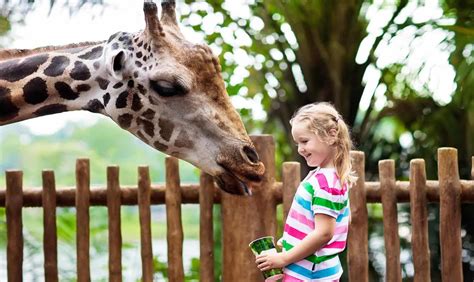 13 Best Vacations For Kids Under 10 Years Old For 2023
