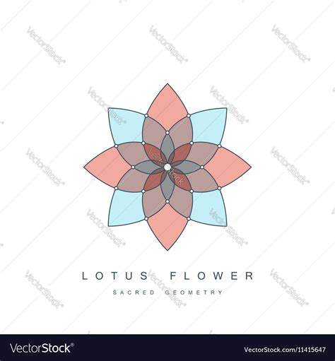 Lotus Flower Sacred Geometry Royalty Free Vector Image