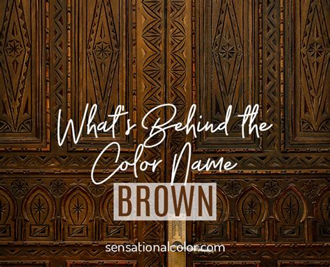 Origin Of The Word Brown Sensational Color