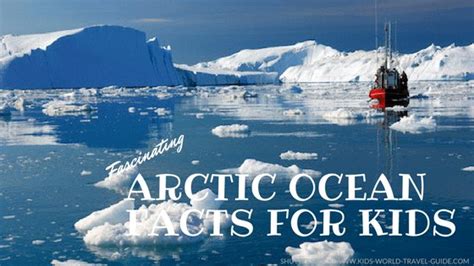 Arctic Ocean Facts For Kids World Oceans Facts For Kids Geography