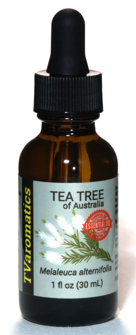 TVaromatics Tea Tree Of Australia 100 Pure Essential Oil Melaleuca