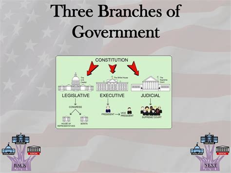 Ppt The Three Branches Of The United States Government By Rachel