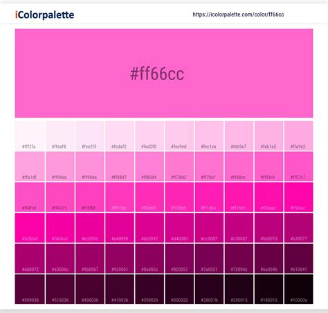 Rose Pink Information Hsl Rgb Pantone