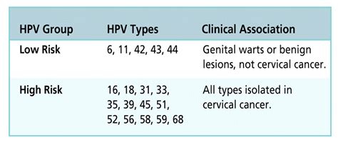 Reducing Patient Risk For Human Papillomavirus Infection And Cervical Cancer