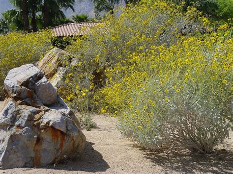The sheer massiveness and weight of the boulders can easily hold back tons. Boulder and Rock Selection & Placement - Landscaping Network