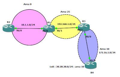 Network Ospf Virtual Link