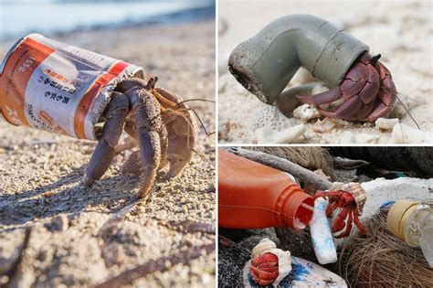 Worlds Plastic Crisis Revealed In Chilling Pics Of Half A Million