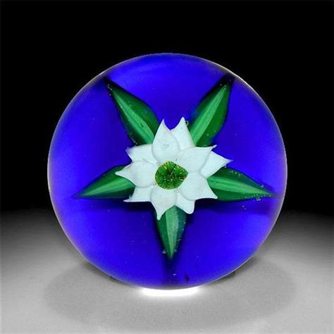 Find stockbilleder af flower double white clematis closeup flowers i hd og millionvis af andre royaltyfri stockbilleder, illustrationer og vektorer i shutterstocks samling. Joe Barker Double White Clematis Paperweight