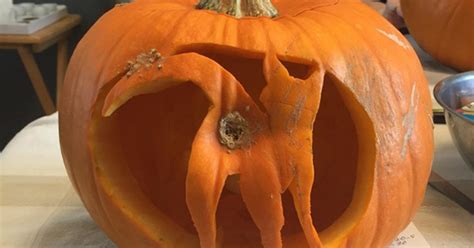Halloween Pumpkin Ideas Guy Carves Cats Butt Into His Pumpkin Metro