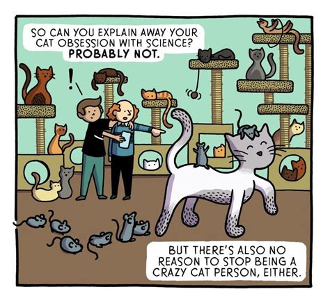 “crazy Cat People” Explained The Nib Crazy Cat People Cat People
