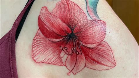 Amaryllis Flower Tattoo Best Flower Site