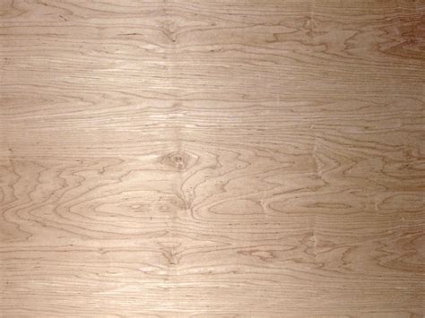 Maple Natural Plywood Capitol City Lumber