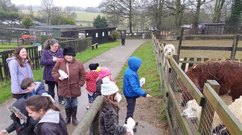 This map is based in south west of uk. Woodside Animal Farm and Leisure Park (Luton) - 2021 All ...