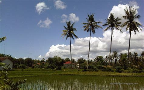 Search free jotaro wallpapers on zedge and personalize your phone to suit you. Pemandangan Alam Alami - Digital Baca