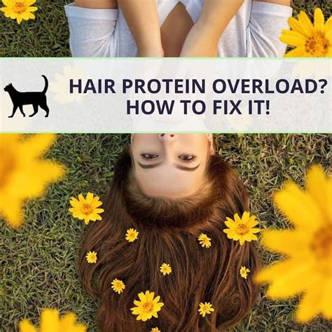 What To Do When Your Hair Suffers From Protein Overload