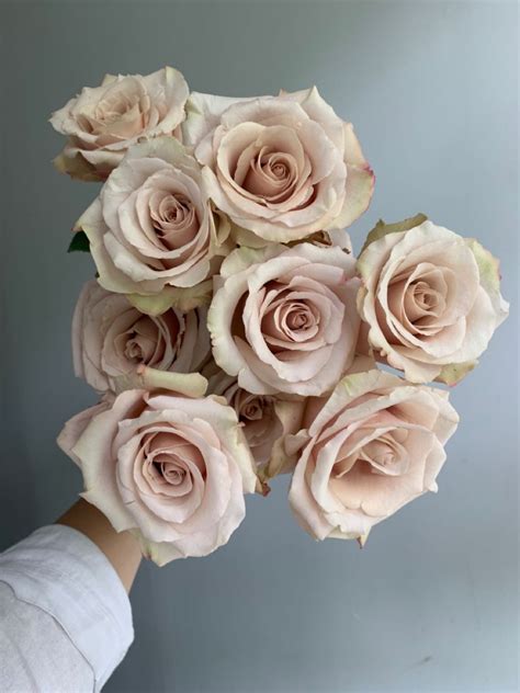 “quicksand” Blush Roses Wedding Flower Arrangements Flower