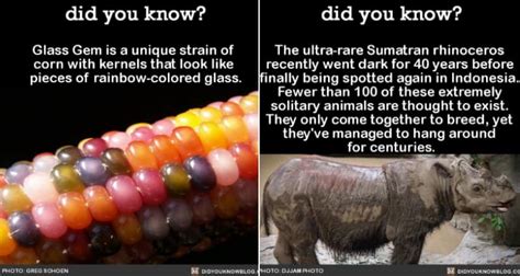 12 Amazing Facts About Nature That Will Blow Your Mind