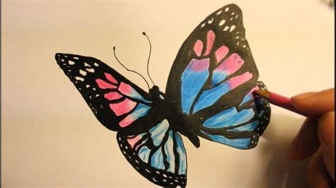 We divided this instruction into eight very simple stages and we emphasized each new stage in red to simplify the learning process as much as possible. How to Draw a Butterfly|Easy|Step By Step|Wings|With ...
