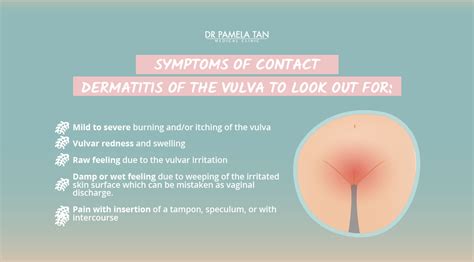 Valuable Information You Need To Know About Your Vulva