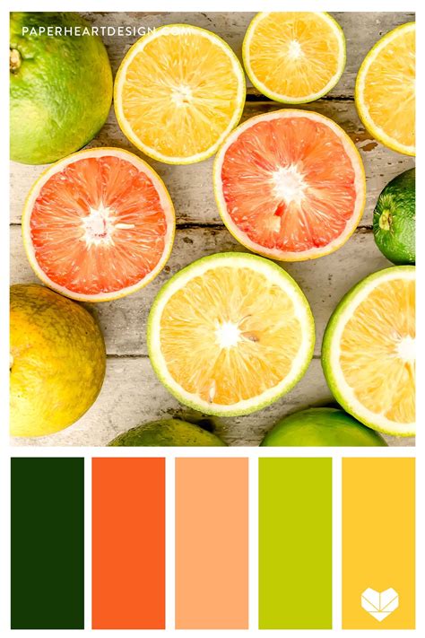 Website color schemes have more of an effect on the persuasiveness of your website than most frequently asked questions about website color schemes. Citrus Color Palette! Lemons, limes, grapefruit. in 2020 ...