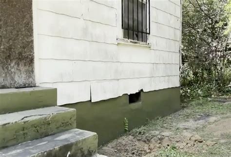 Eliza Fletcher Photos: See The ‘Shallow Grave’ Where Her Body Was Found