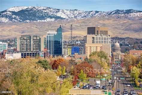 Fig trees thrive in hardiness zones 8 through 10 but can survive through zone 5 with winter protection. Autumn Trees And Boise Idaho Skyline Stock Photo ...