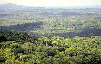 Die elfenbeinküste kam im laufe des ersten durchgangs besser rein, ohne offensiv. Elfenbeinküste - Côte d'Ivoire - Weitergehts
