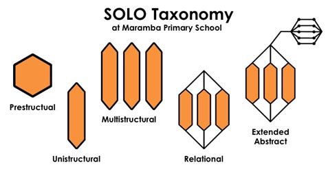 Twice a year, the iapp updates its privacy tech vendor report, offering insight into the market and a directory of vendors, large and small, that offer various types of. SOLO Taxonomy - Maramba Primary School