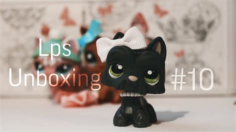 Lps Unboxing 10 Youtube