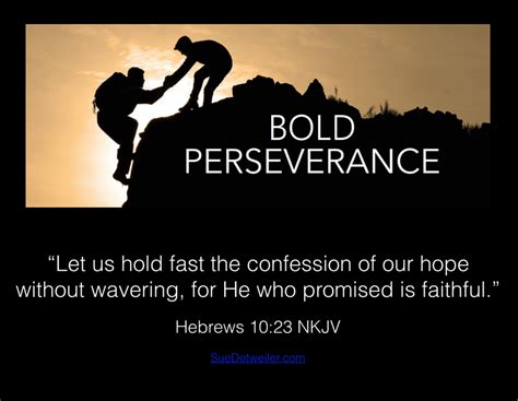 The great international collectors and curators, once celebrated for their perceptiveness and perseverance, are now regularly deplored as traffickers in, or. Bold Perseverance - Sue Detweiler