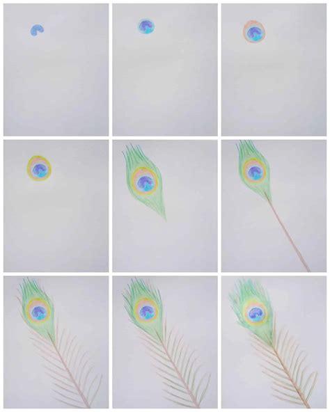 How To Draw A Feather Easy Step By Step