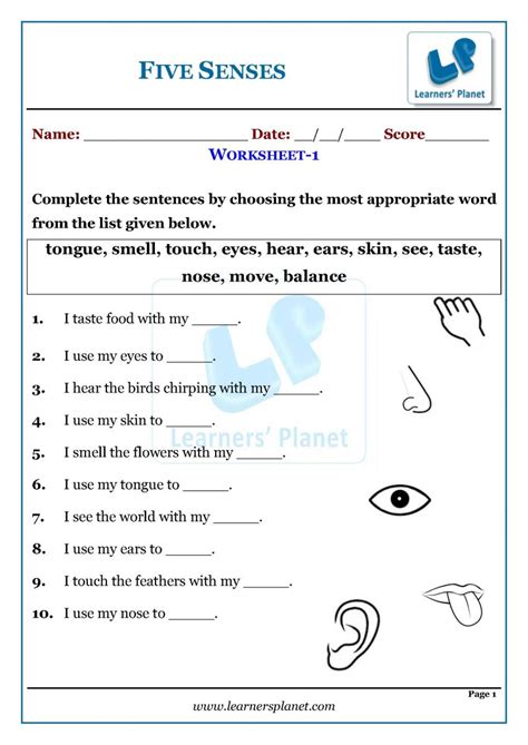 Senses Worksheet Grade