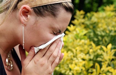Allergies Tout Savoir Sur Les Pollens Qui Flottent Dans Votre Ville