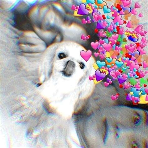 See more ideas about leeteuk, super junior, super junior leeteuk. La esposa de Leeteuk 2019-2020-2021.........en MY LOVE FOR ...
