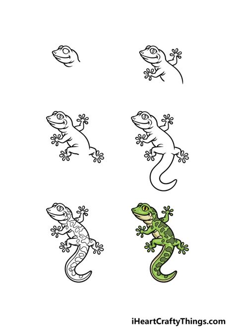 Gecko Drawing How To Draw A Gecko Step By Step