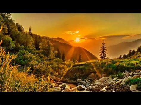 Madre means mother in many romance languages, and it may also refer to: Ronny - Sierra Madre Del Sur - YouTube