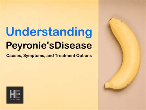 Understanding Peyronies Disease Causes Symptoms And Treatment Options He Clinic For Men