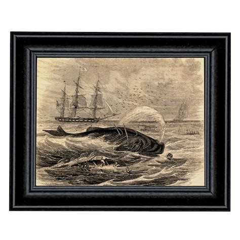 Pursuit Of The Sperm Whale Etching Framed Print Behind Glass Etsy