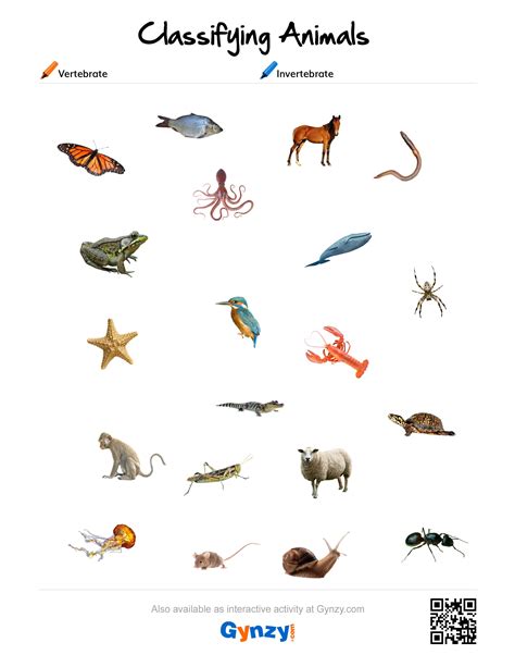 Vertebrate or invertebrate animales vertebrados e invertebrados para el tema living things de natural science. Invertebrates Worksheet | Kids Activities