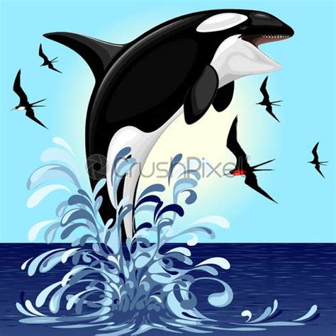 Killer Whale Spirit Orca Jumping Vector Illustration Isolated On White