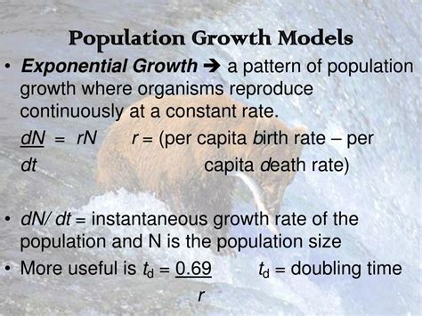 Ppt Population Dynamics Population Ecology Powerpoint Presentation