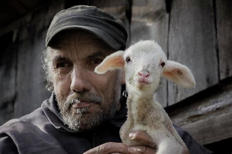 Older Villager Holding A Lamb Photograph By Marko Radovanovic Fine