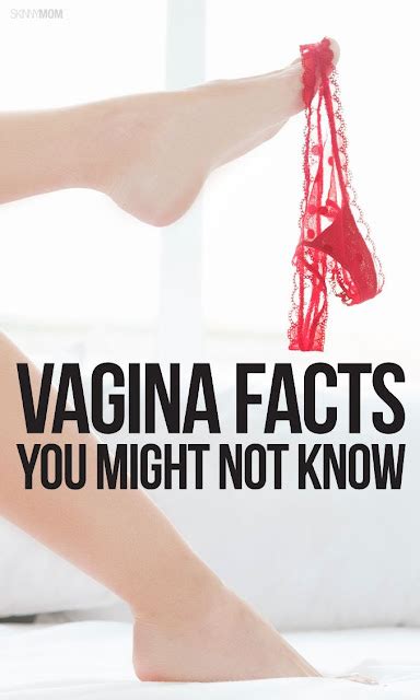 10 facts you might not know about the vagina wellness magazine