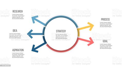 Business Infographic Organization Chart With 5 Options Arrows Vector