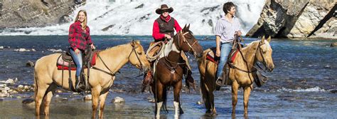 Banff Bow River Horseback Ride Banff Trail Riders