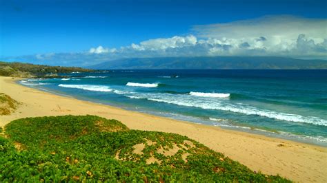 Hawaii Beach Wallpaper Wallpapersafari